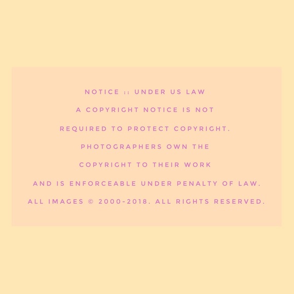 🌿WELCOME!🌿 Meet your posher, Jo! - Picture 5 of 5